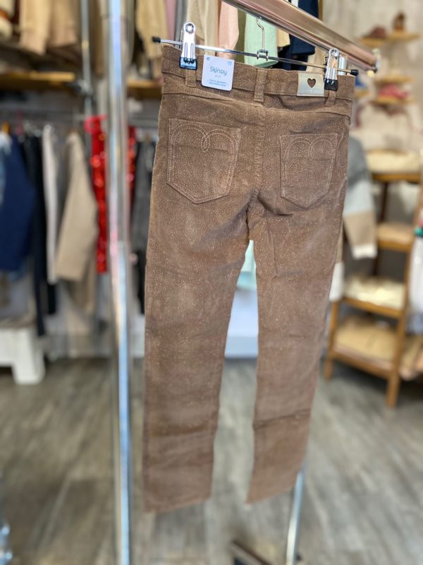 Pantalon marron/beige skinny à paillettes argentées